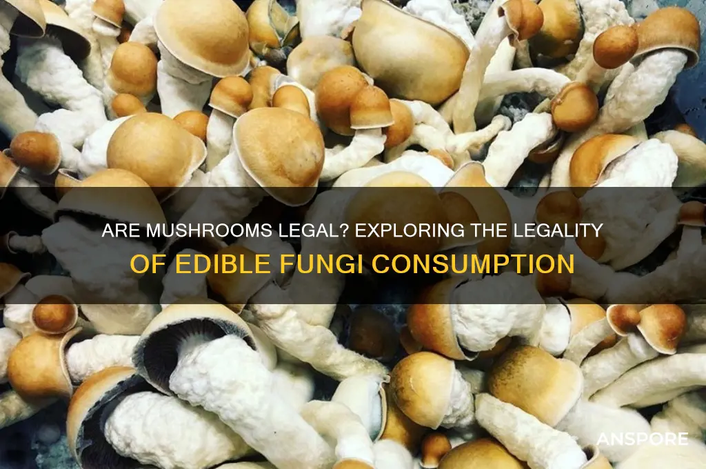are eating mushrooms illegal
