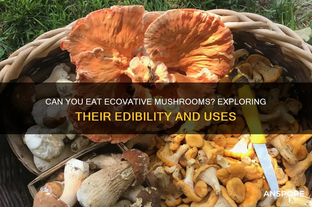 are ecovative mushrooms edible