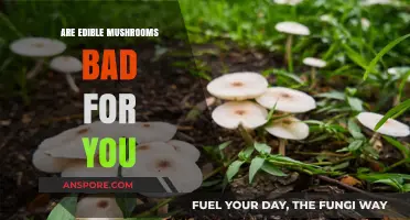 Are Edible Mushrooms Healthy or Harmful? Uncovering the Truth