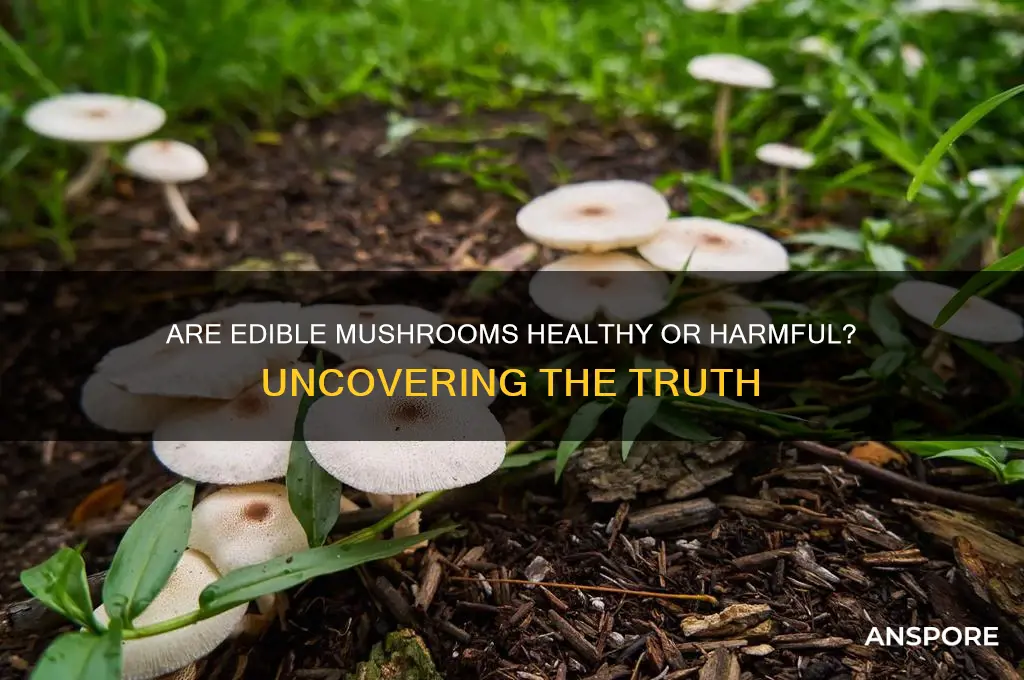 are edible mushrooms bad for you