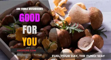 Edible Mushrooms: Nutritional Benefits and Health Impacts Explained