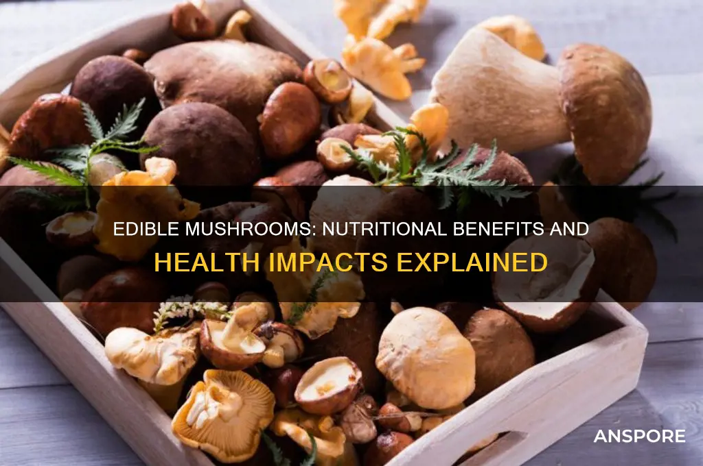 are edible mushrooms good for you