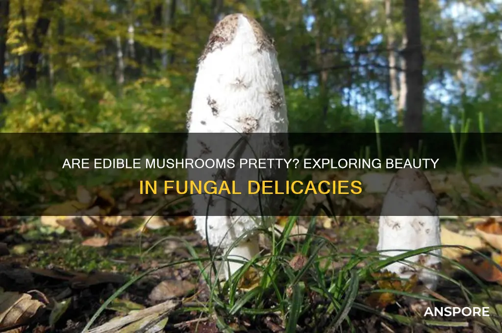 are edible mushrooms pretty