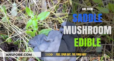 Are Elfin Saddle Mushrooms Edible? A Comprehensive Guide to Safety