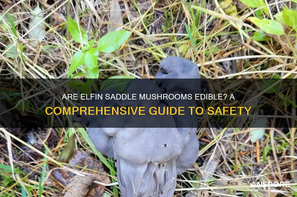 are elfin saddle mushrooms edible
