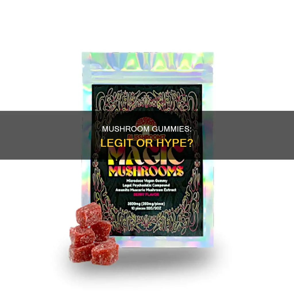 are elyxr mushroom gummies legit