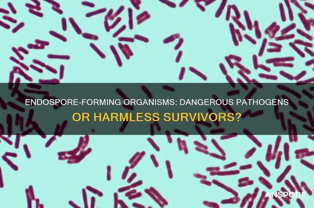 are endo spore forming organism dangerous pathogens