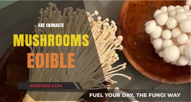 Are Enokaste Mushrooms Edible? A Comprehensive Guide to Safety and Taste