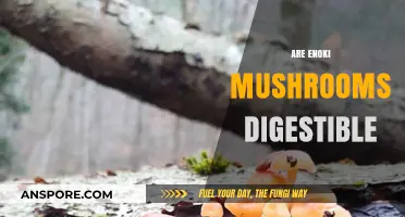 Enoki Mushrooms: Edible, Nutritious, and Digestible?