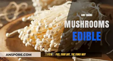 Are Enoki Mushrooms Edible? A Guide to Their Safety and Uses