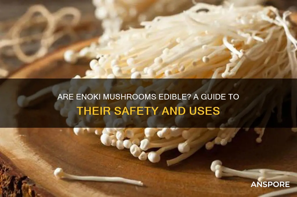 are enoki mushrooms edible