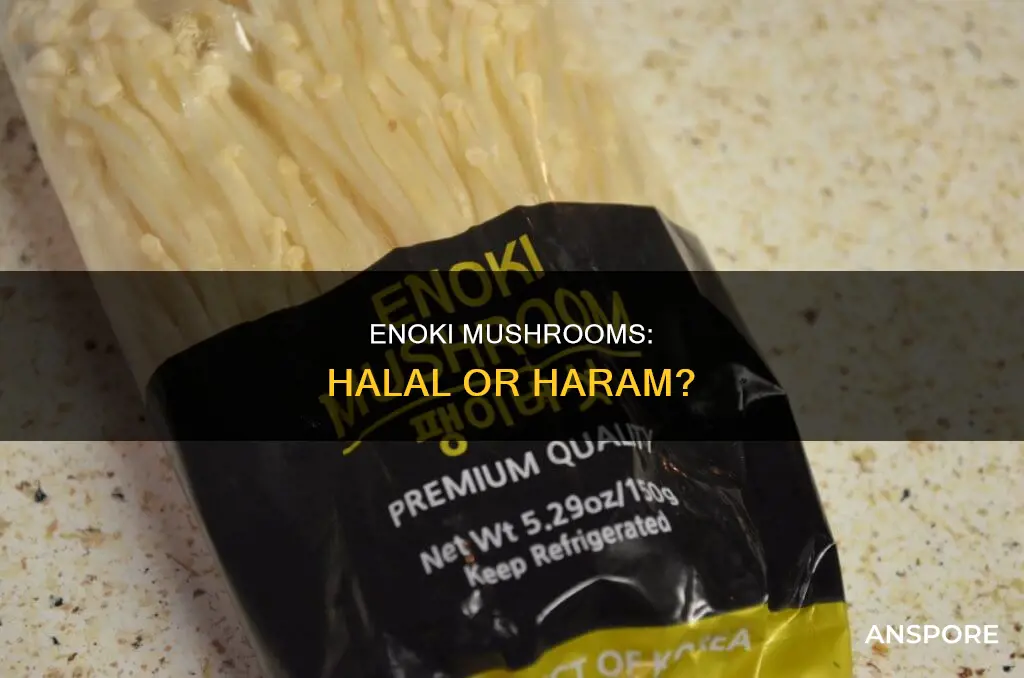 are enoki mushrooms halal