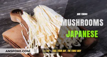 Enoki Mushrooms: Japanese Delicacy or Global Treat?