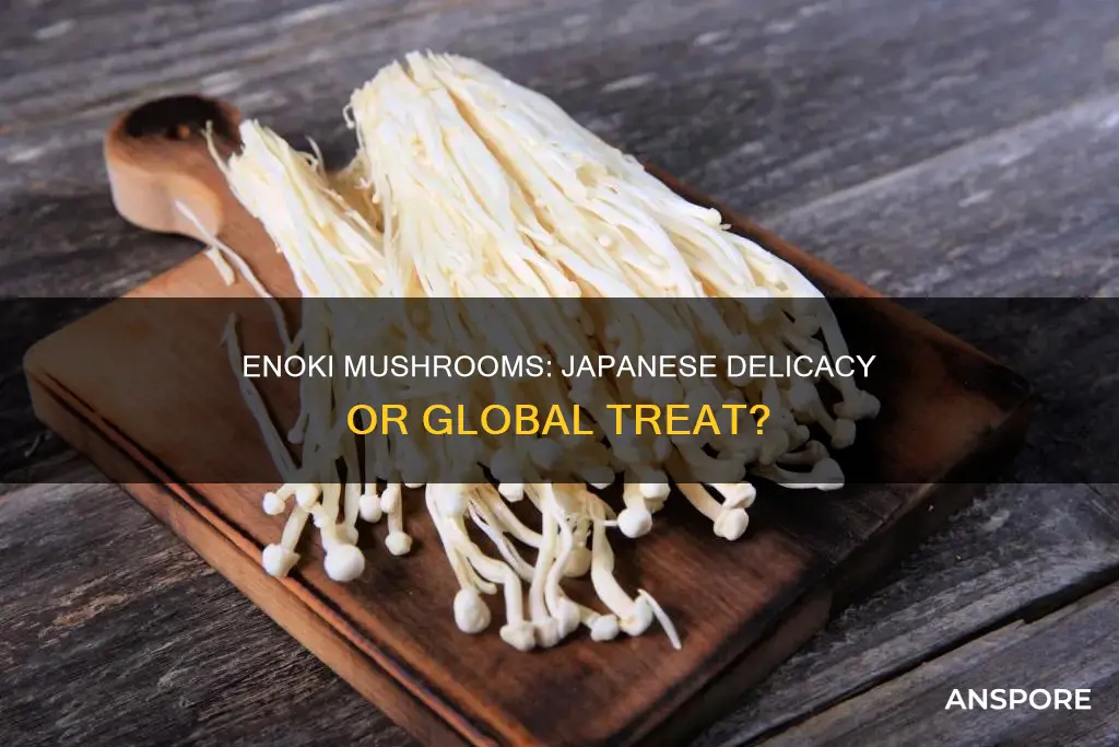 are enoki mushrooms japanese
