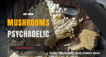 Enoki Mushrooms: A Psychedelic Trip?