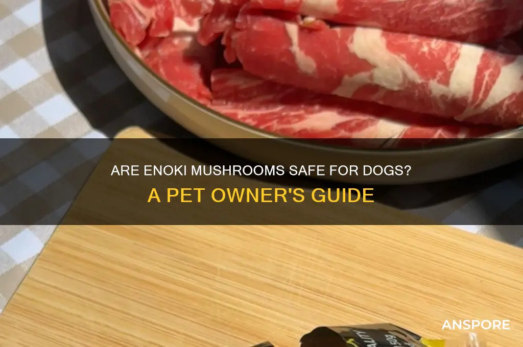 are enoki mushrooms safe for dogs