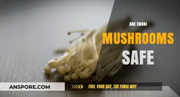 Enoki Mushrooms: Safe Superfood or Health Risk?