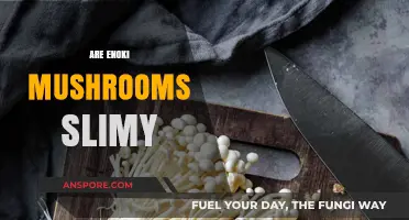 Are Enoki Mushrooms Slime-Free?