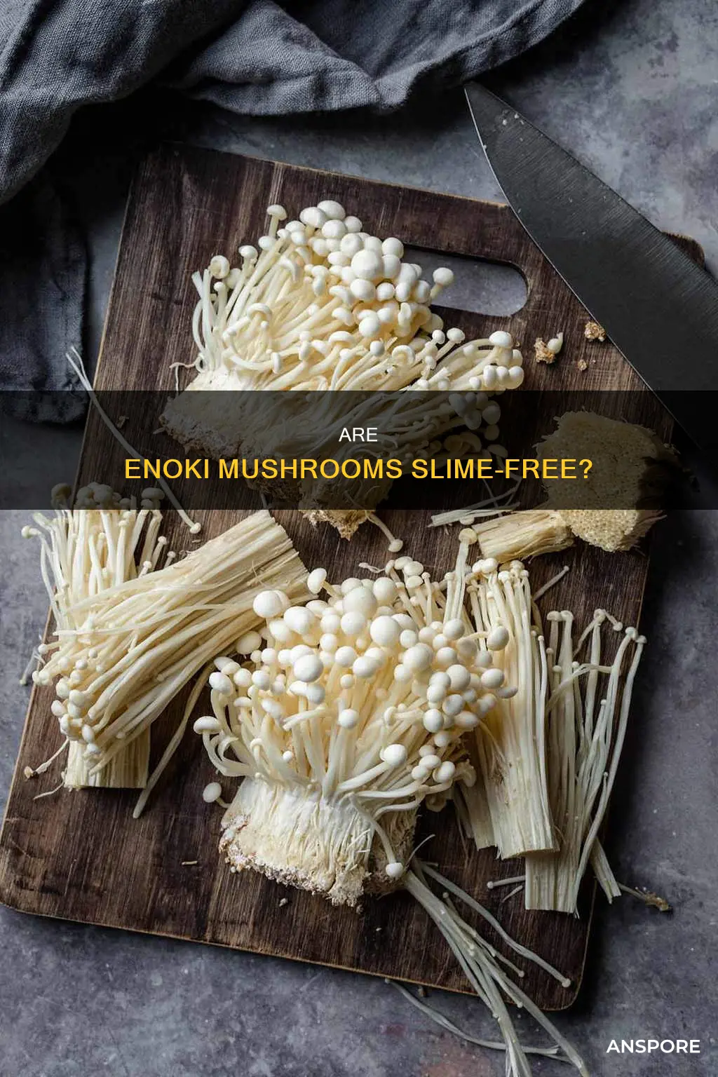are enoki mushrooms slimy