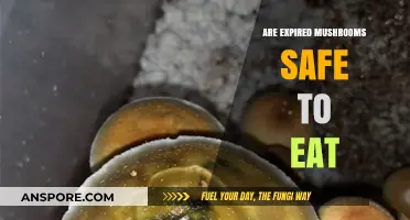 Expired Mushrooms: Are They Safe to Eat or Risky?