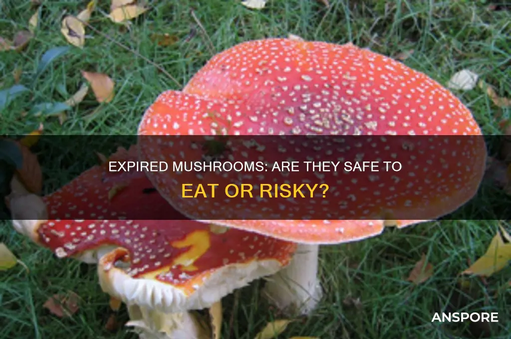 are expired mushrooms safe to eat