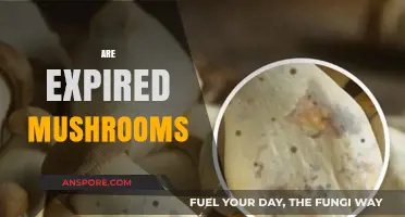 Mushrooms: Safe to Eat After Expiry?