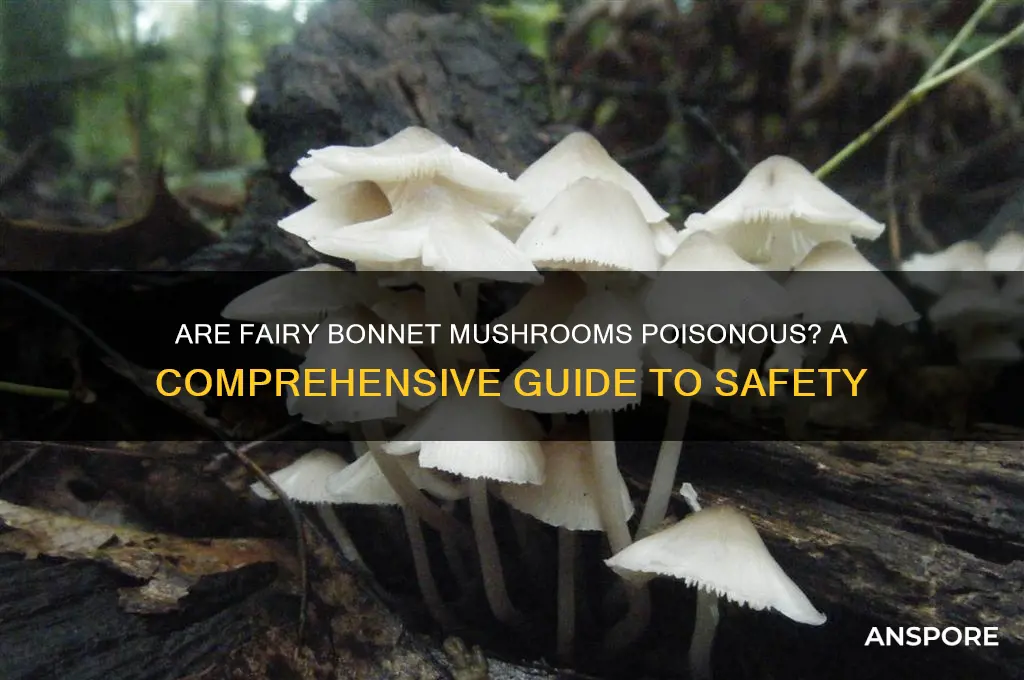 are fairy bonnet mushrooms poisonous