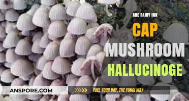 Are Fairy Ink Cap Mushrooms Hallucinogenic? Unveiling the Truth