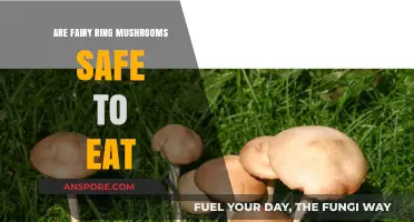 Are Fairy Ring Mushrooms Safe to Eat? A Comprehensive Guide