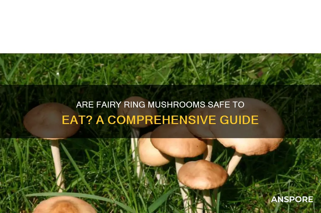 are fairy ring mushrooms safe to eat