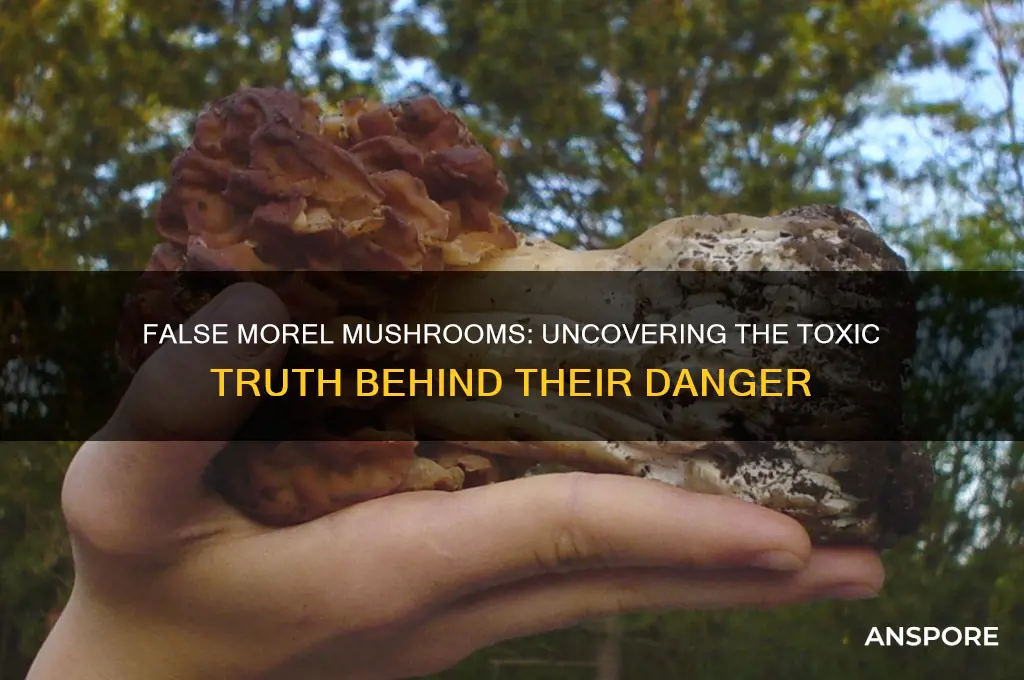 are false morel mushrooms poisonous