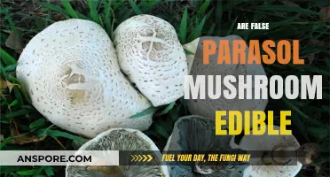 Are False Parasol Mushrooms Edible? A Comprehensive Guide to Safety