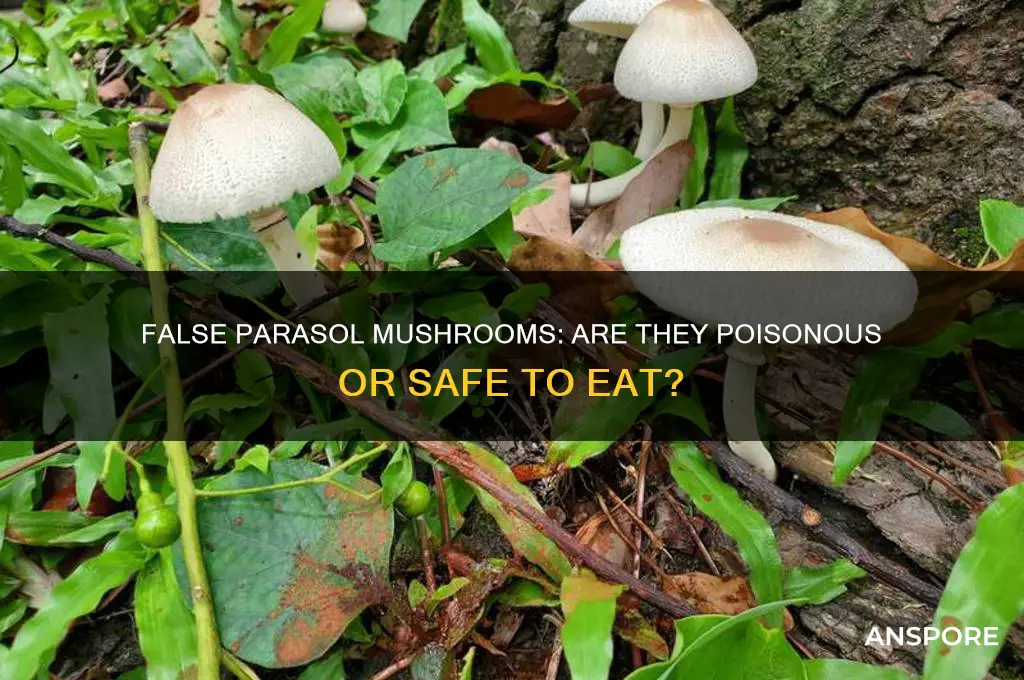 are false parasol mushrooms poisonous