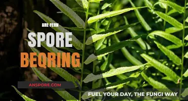 Are Fern Spores Bearing Fruit for Your Garden? Find Out!