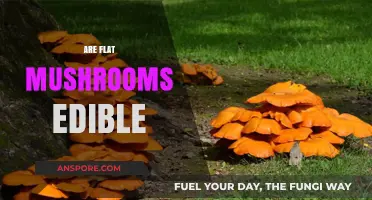 Are Flat Mushrooms Safe to Eat? A Guide to Edibility