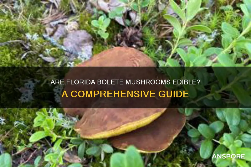 are florida bolitae mushrooms edible