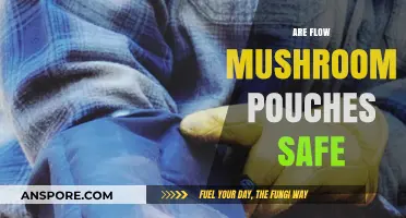 Mushroom Pouches: Safe or Not?