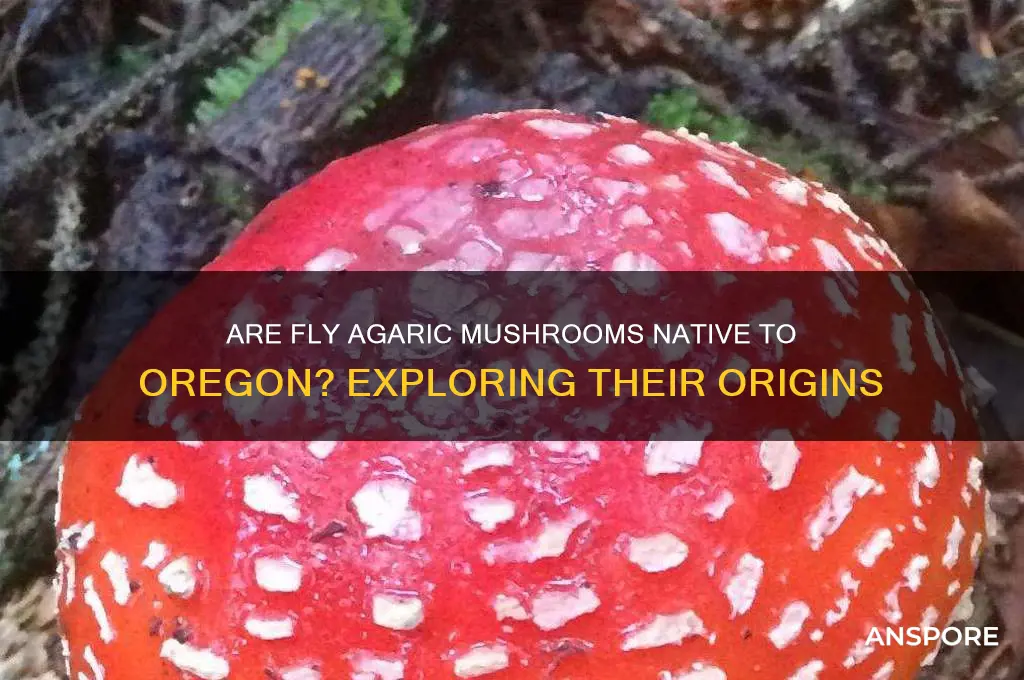 are fly agaric mushrooms native to oregon oregon