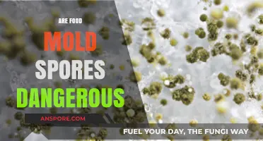 Are Food Mold Spores Dangerous? Uncovering the Hidden Health Risks