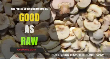 Freeze-Dried vs. Raw Mushrooms: Which Offers Superior Nutrition and Flavor?