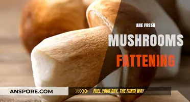 Mushrooms: Healthy Superfood or Diet Disaster?