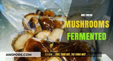 Mushroom Mystery: Are Fresh Mushrooms Fermented?