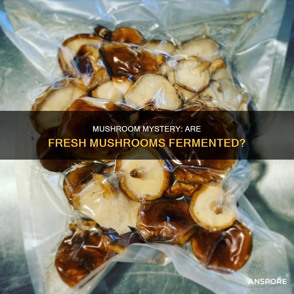 are fresh mushrooms fermented
