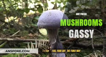 Mushrooms and Gas: What's the Deal?