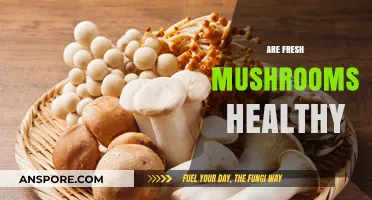 Mushroom Power: Nature's Superfood for Health