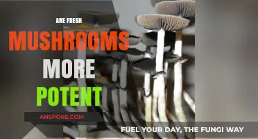 Fresh Mushrooms: More Potent or Placebo Power?