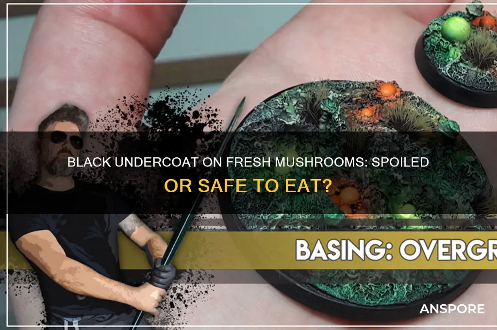 are fresh mushrooms spoiled when undercoat is black