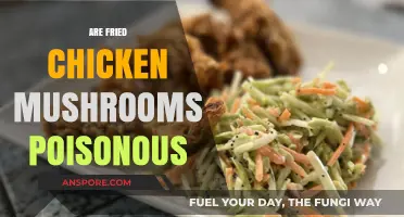 Are Fried Chicken Mushrooms Poisonous? Facts and Safety Tips