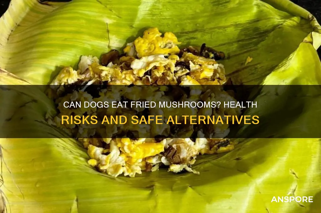 are fried mushrooms bad for dogs