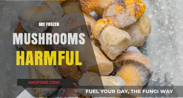 Mushroom Mystery: Are Frozen Mushrooms Safe?